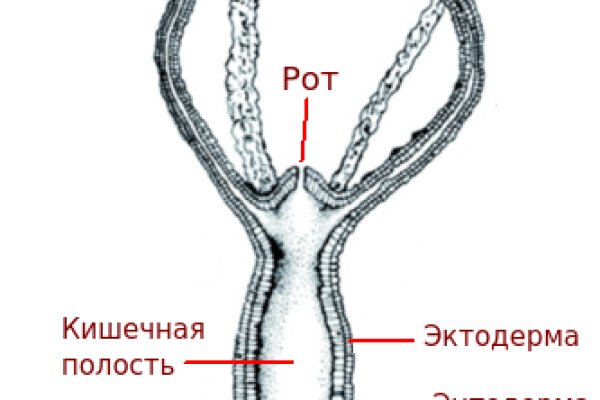 Как вернуть аккаунт кракен